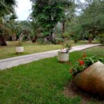 CnicGeminiCorfu - 07 30 Garden