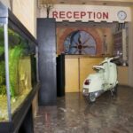 OliveGroveCorfu - ok40