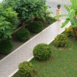 ToulasApartmentsCorfu - Entrance to rooms .