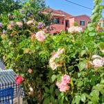 VillaValiaCorfu - VV5