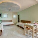 Alkionis - apts C 11