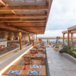 CactusBeach - CACTUS PARADISE