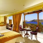 Capsis - 1350314 scaled 1