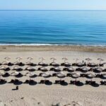 DelfinaBoutiqueHotel - Delfina boutique Beach 1