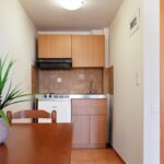 DiaApartmentsHersonissos - Standard Studio with Garden View 4