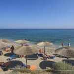 Diogenis - 64468d1f9fd76