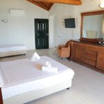 Diogenis - image00017