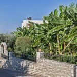 DorianBali - 354982099