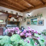 DorianBali - 354982125