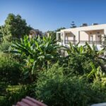 DorianBali - 354982140