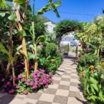 DorianBali - 371044108