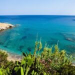 ElenasBeachGarden - Elenas garden 11