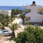 ElenasBeachGarden - Elenas garden 4