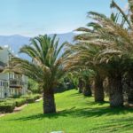 Grecotel Meli Palace Resort - Exotic Landscape