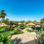 Harmony Hotel - Lawn For Sunbathing