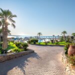 IkarosBeach - 070 GA garden_93374889