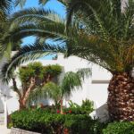 Kyknos Beach Hotel & Bungalows - Bungolows Exterior