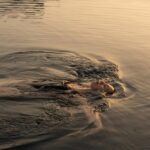 MInosPalace - 17. Minos Palace_nao