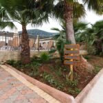 NewcastleStudios - EVA_7962