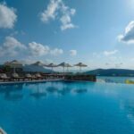 RoyalMarmin - 495585310