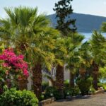 SelenaVillage - 269793469