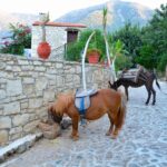 StoneVillage - Hotel in Bali Crete Stone Village Farm Animals 11