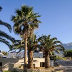 VantarisGarden - VantarisGarden6