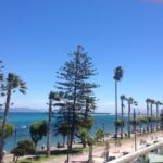 BristolSeaViewHotelKos - 242709889