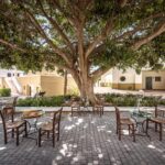 RodosMarisMitsis - mitsis_rhodes_rodosmaris_bar_kafeneio_9471